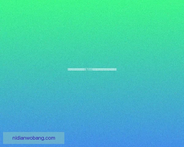 二战德国重型坦克对决：E100与鼠式的设计理念与战斗力对比分析